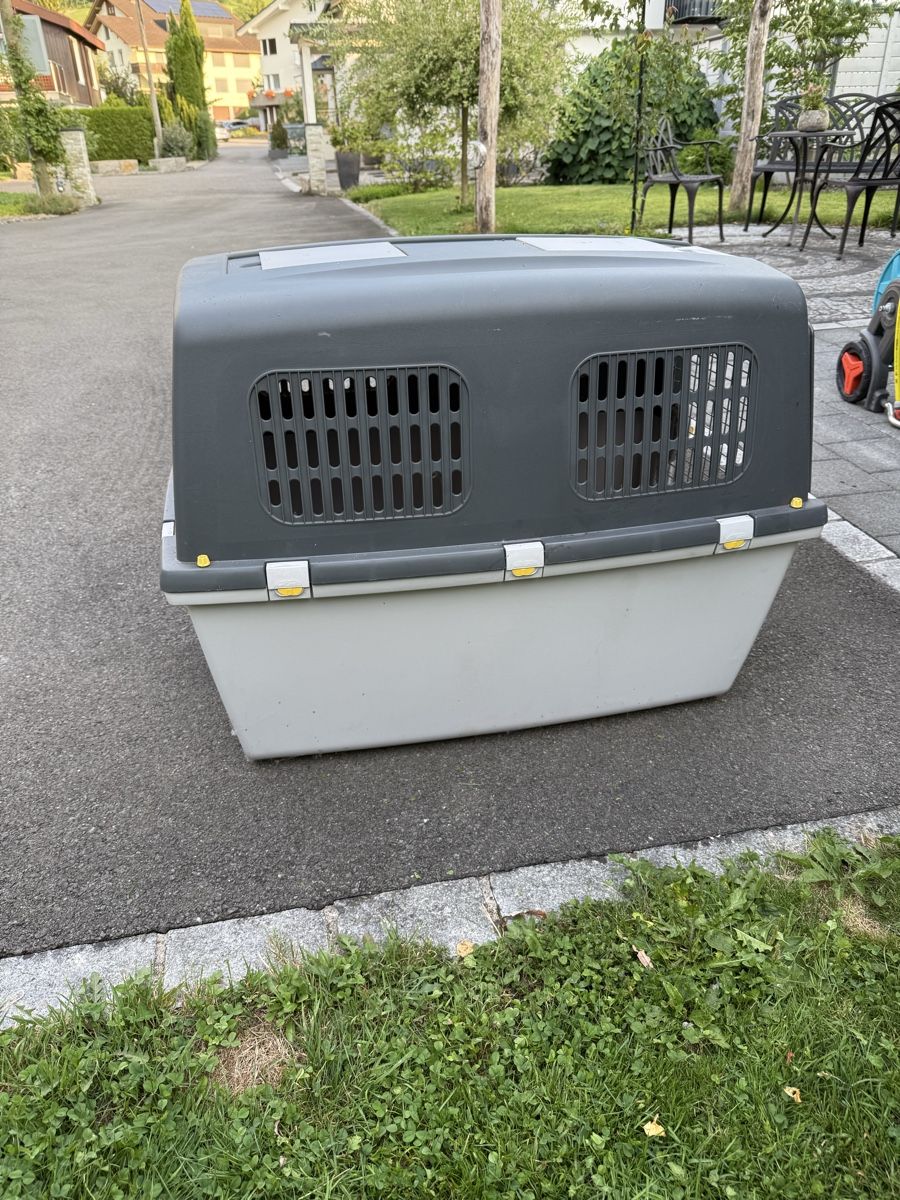 Gabbie, trasporto & Sicurezza: Hundebox Gulliver Nr.7 – Nuovo (secondo la descrizione) da Giswil venduto da MBU21 2
