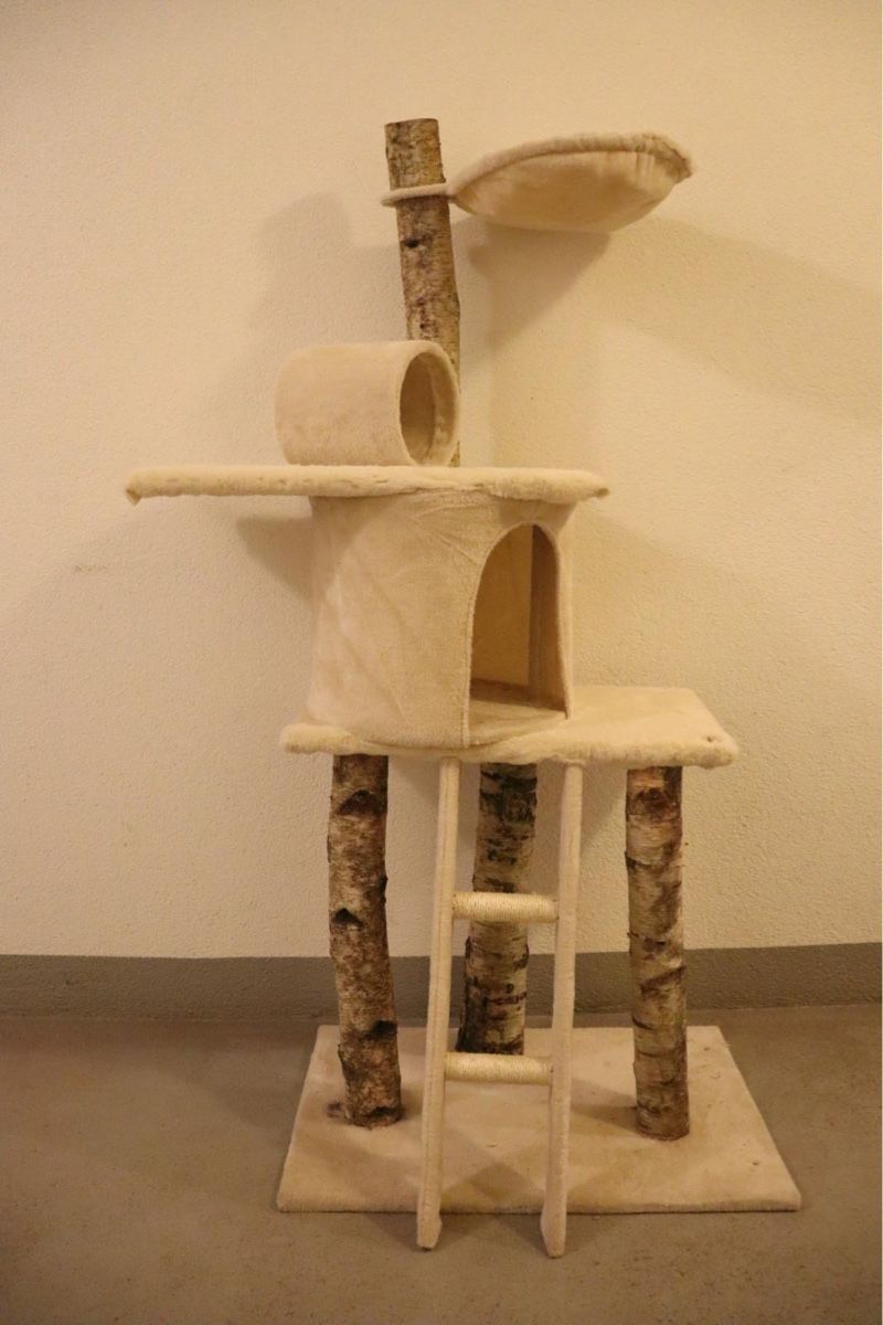 Tiragraffi: UNIKAT-BIRKEN-KATZENBAUM – Nuovo e nell'imballaggio originale da Glarus venduto da PBachmann 6