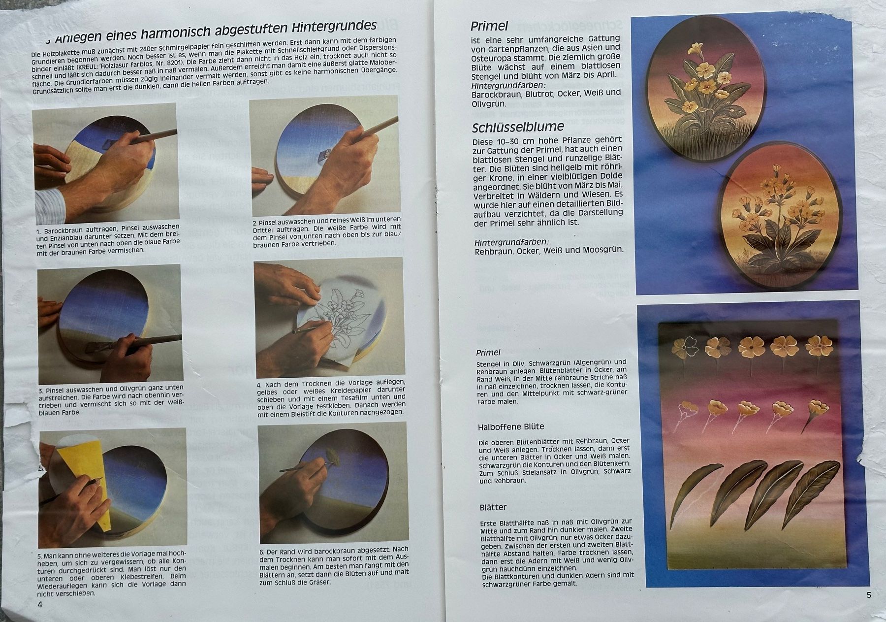 Sciablone: Blumenmalschule  (Malvorlage) – Usato da Obstalden venduto da Porco13 3
