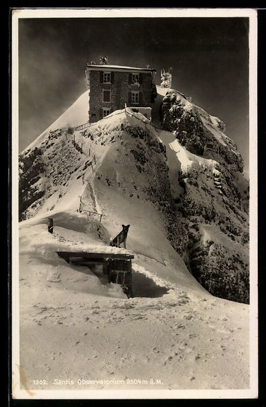 Cartoline postali: AK Säntis, Observatorium, Wachhund – Usato da Berlin venduto da bartko-reher