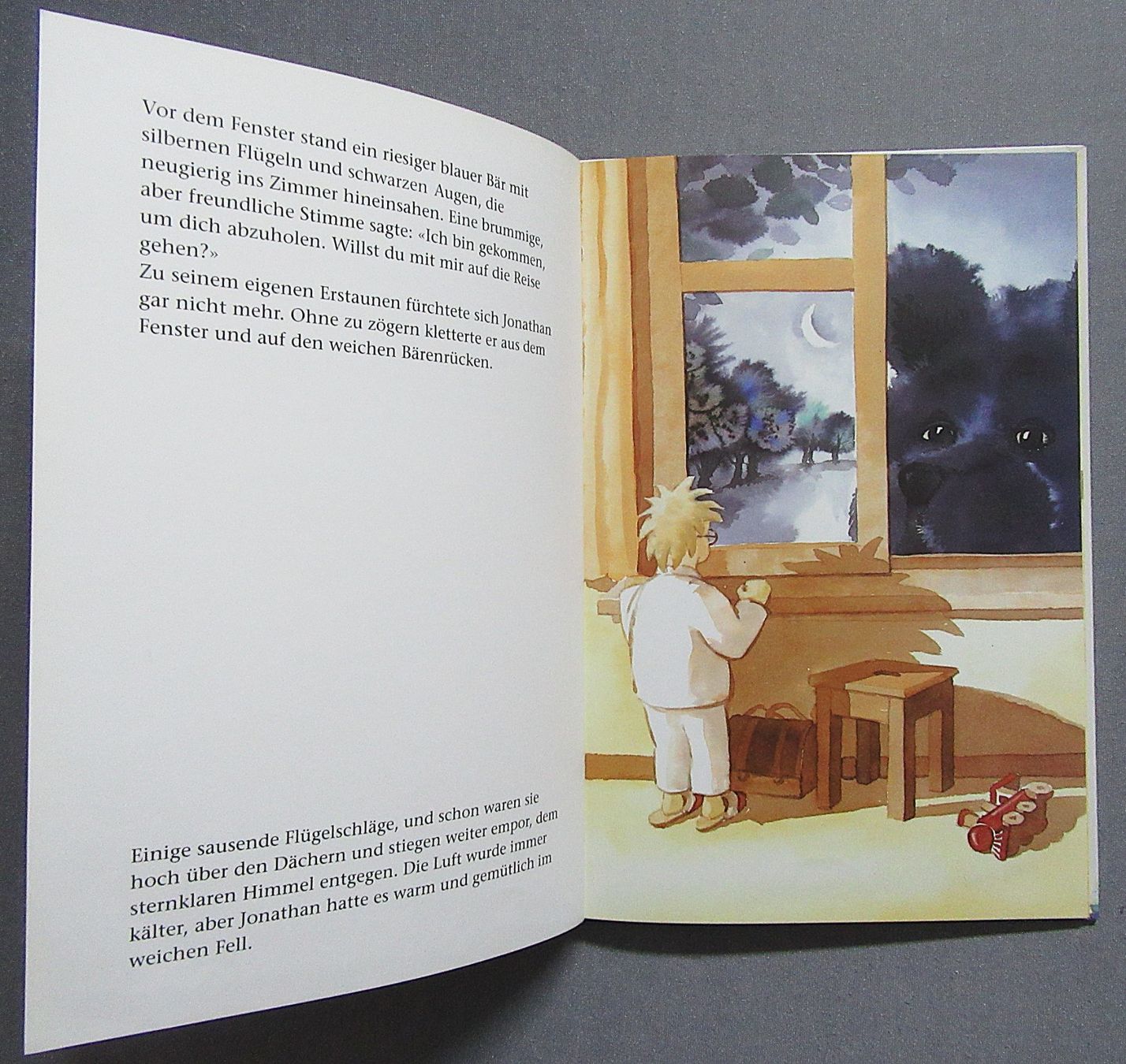 Libri: Der blaue Bär - Bilderbuch illustriert von Daniel Küttel – Usato da Auenstein venduto da Padabimbim 2
