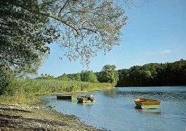 bei DÖRFLINGEN SH Rhein unterhalb Loog