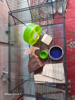 Gabbia per criceti spaziosa + accessori inclusi!