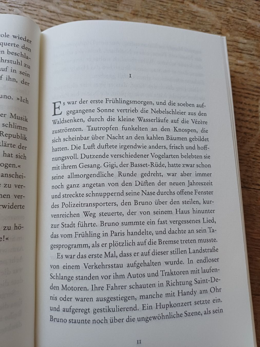 Libri: Roman Delikatessen Martin Walker – Usato da Bern venduto da rikivip 4