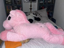 Doudou XXL