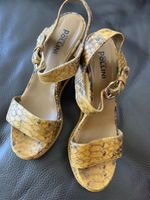 Pollini shoes