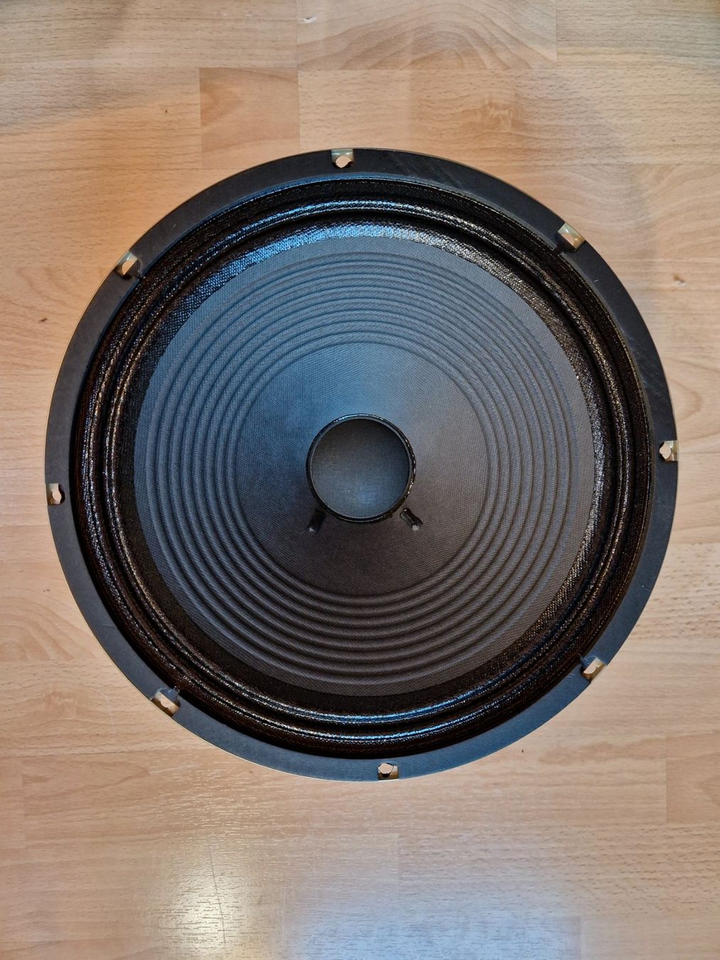 Amplificatori: Celestion Zephyr 12" Lautsprecher – Usato da Luzern venduto da Patsports 2