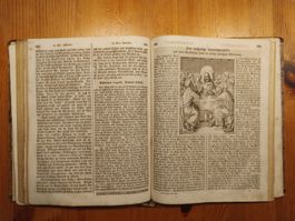 Antikes Buch (1858): Heilige eines jeden Tages erklärt.