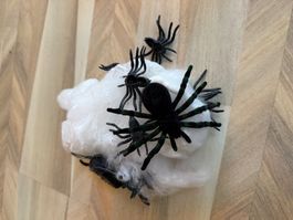 3 x Netz mit Dekospinne