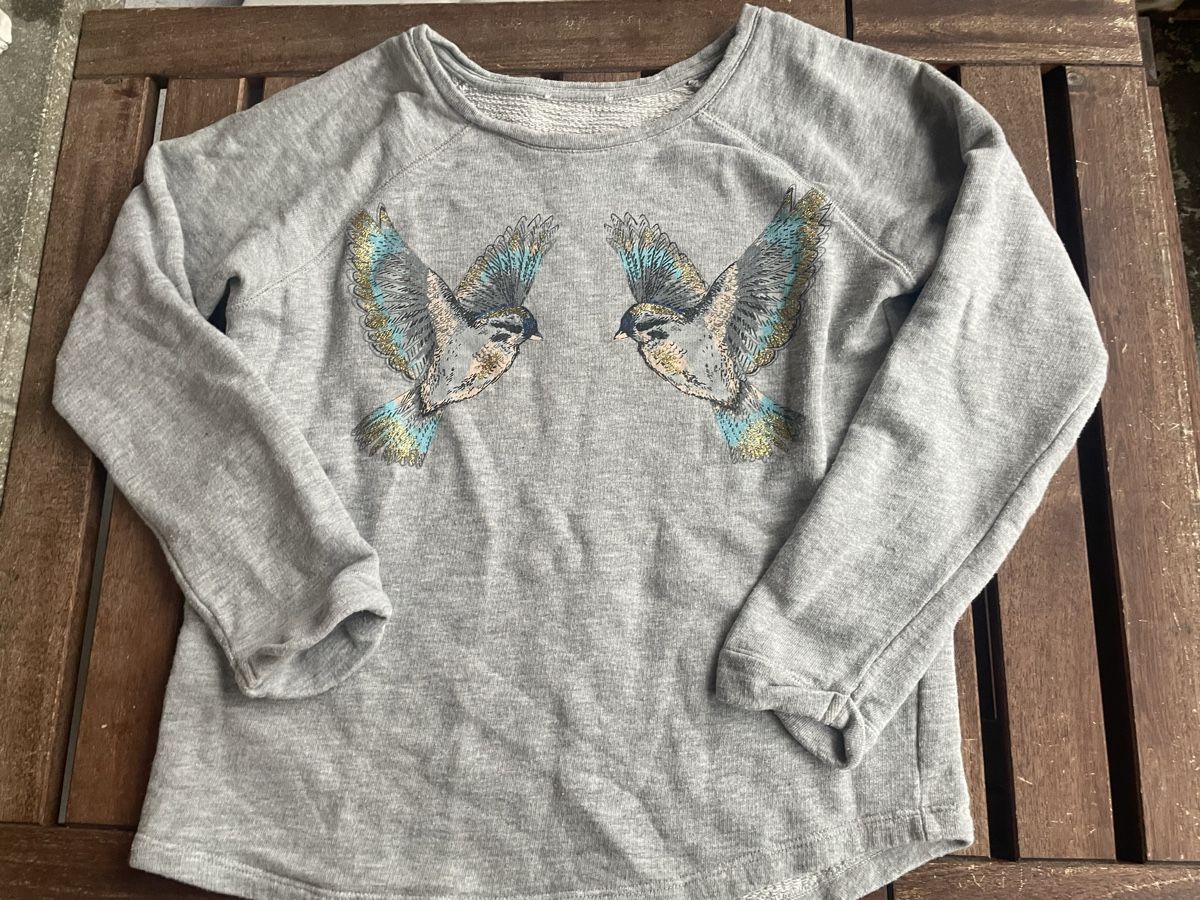 Pullover & Sweatshirts: Sweatshirt mit Vogelprint 152/158 – Gebraucht aus Bern von brup