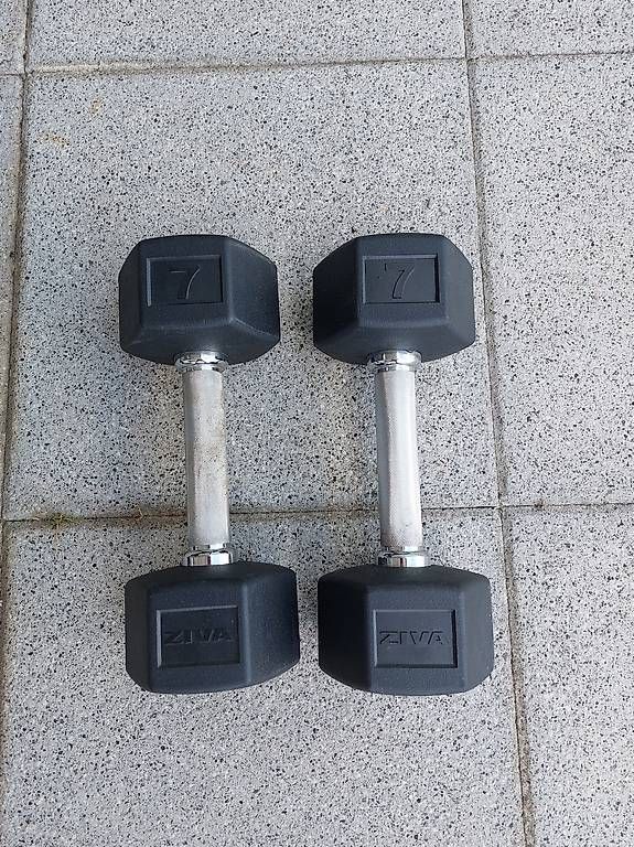 Manubri & Pesi: 7 kg dumbbells  – Usato da Baar venduto da chr_cz2m