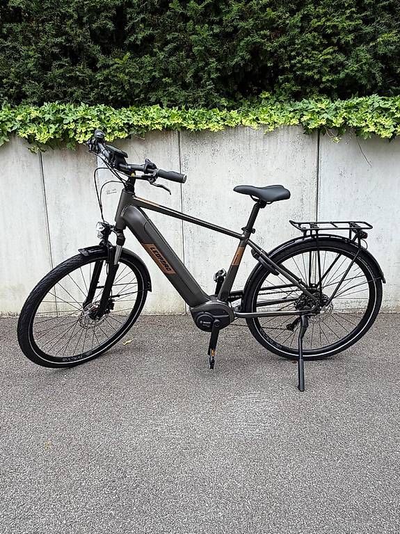 Vélos: Leopard E-Bike mit Bosch Motor – D'occasion à Hinwil par Ram1ajeti