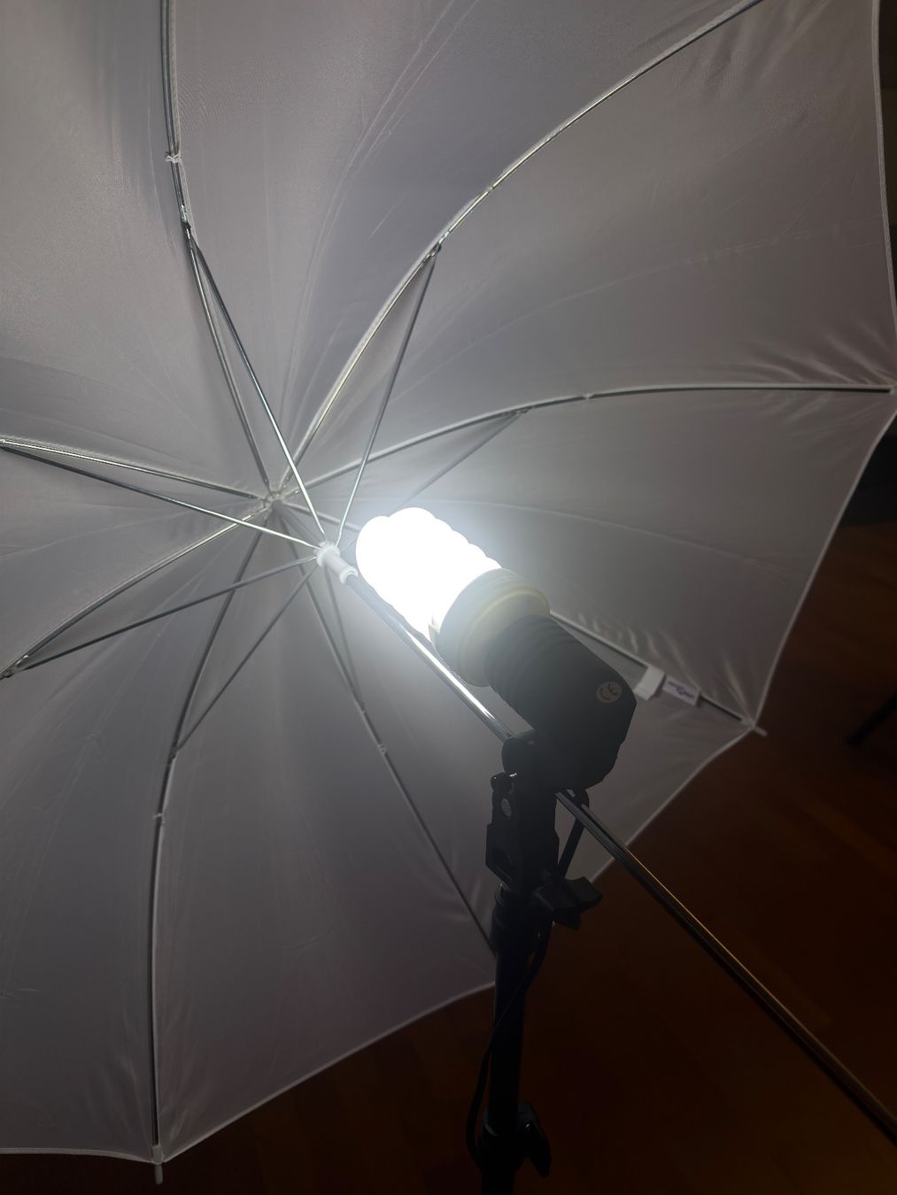 Lampade: 2er Set Fotostudio Licht Studioschirm Lampenstativ Softbox – Usato da Bern venduto da mura_shop 4