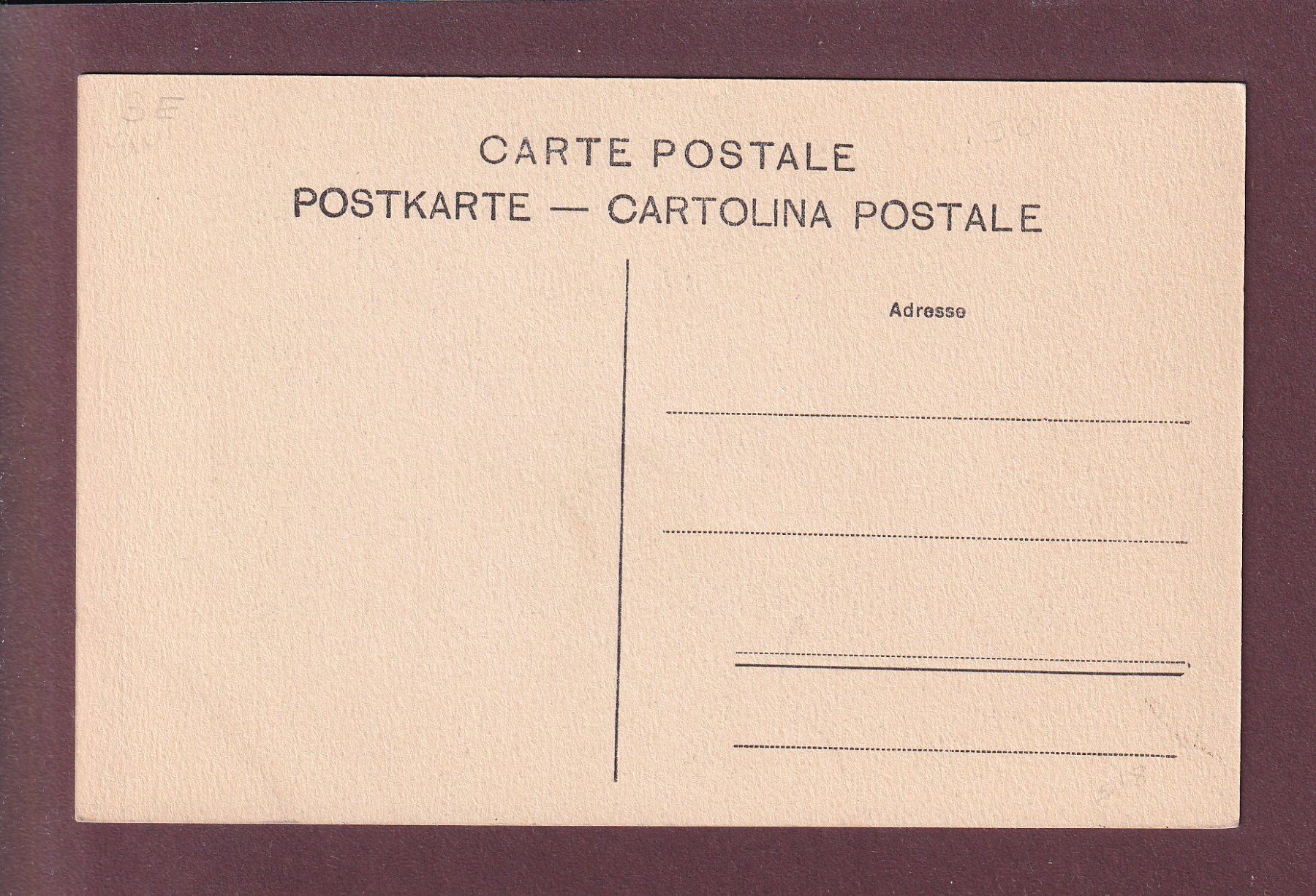 Cartoline postali: ALPHORNBLÄSER auf Dorfstrasse – Usato da Pully venduto da nicecards 1