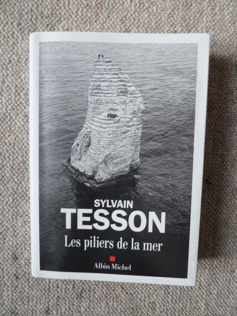 Libri: Sylvain Tesson   Les piliers de la mer – Nuovo (secondo la descrizione) da Villigen venduto da Panthertwo