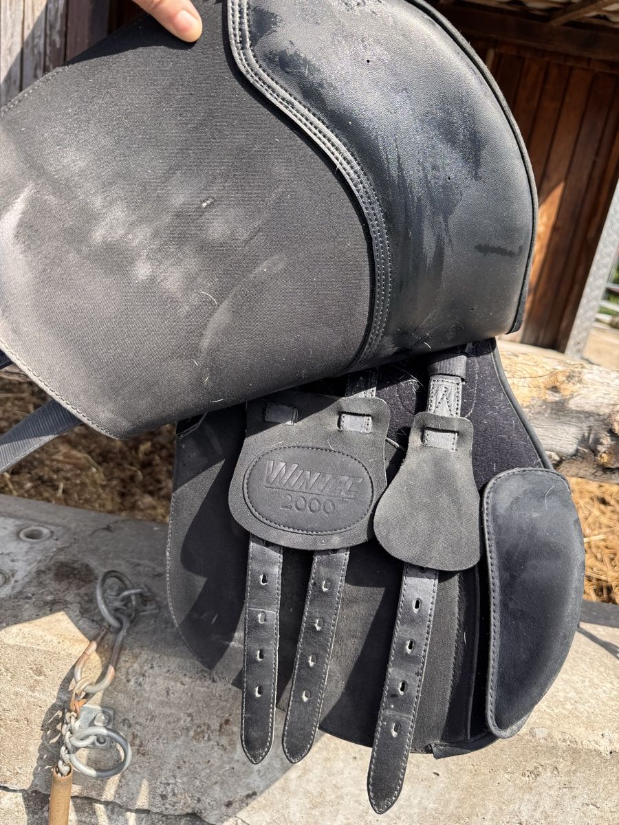 Selle & Accessori: Wintec 2000 Kunstleder Sattel – Usato da Siselen BE venduto da Mammut2577 5