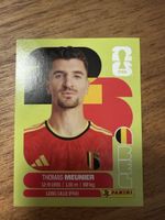 Panini Fifa BEL 8