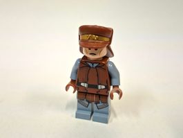 Naboo Security Officer sw0638