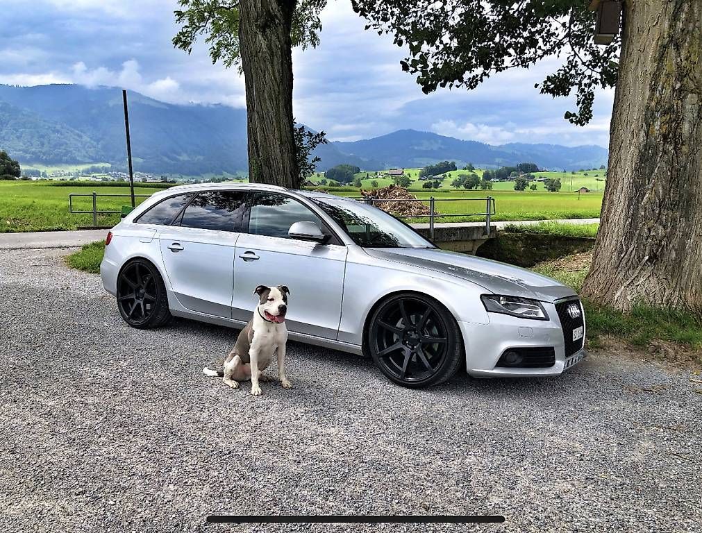 Cerchioni: Concave Alufelgen Alutec Pearl – Usato da Siebnen venduto da ichduer93 1