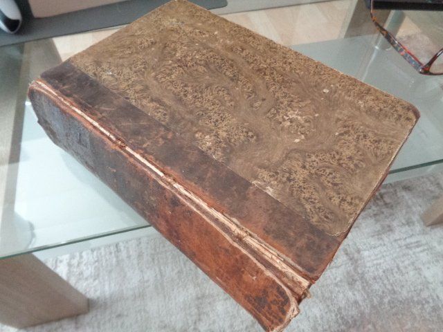 Libri: Napoleon Bonaparte Antikes Buch – Usato da sargans venduto da Angamar 2