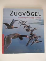 ZUGVÖGEL Unterwegs Richtung Schweiz