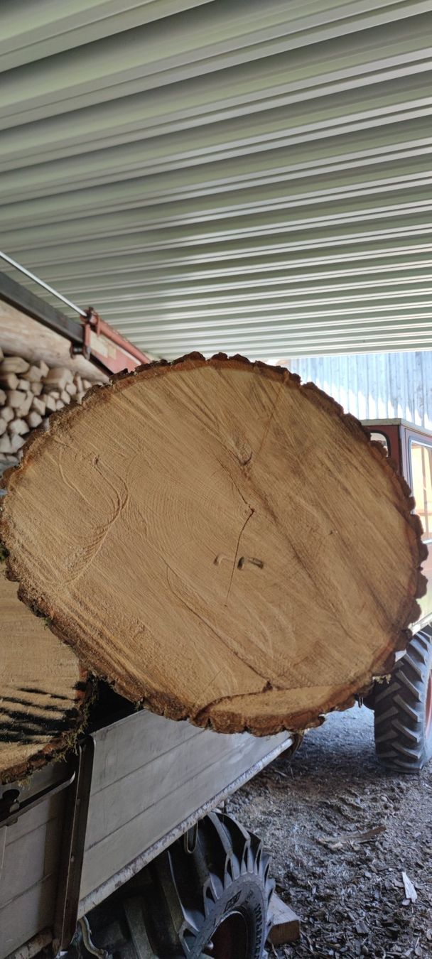 Articoli in legno: Lindenstamm zum schnitzen – Nuovo (secondo la descrizione) da Nesslau venduto da focus3000