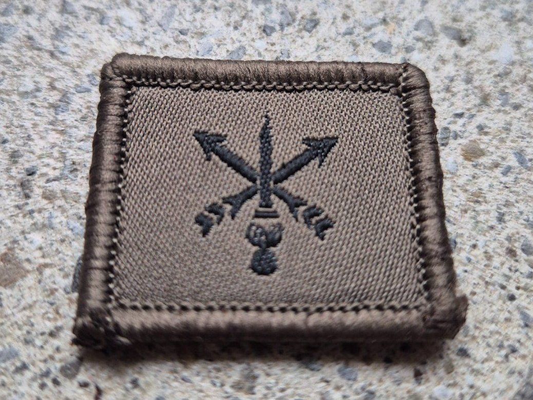 Schweizer Armee Plaketten & Abzeichen: *** Funktionsabzeichen AAD10 mit klett *** – Gebraucht aus Riedholz von fr_sIruP 1