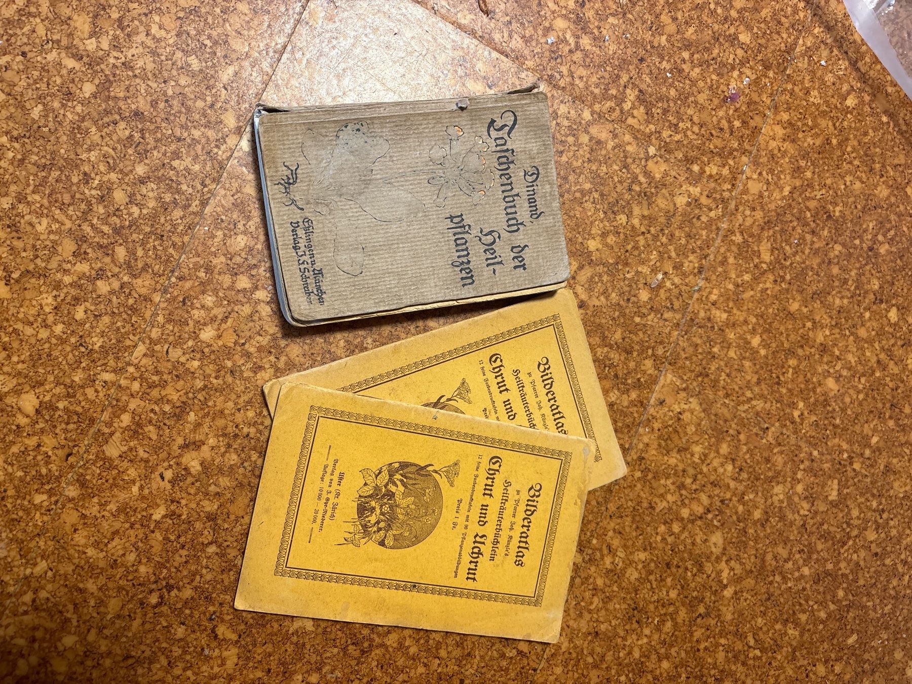 Libri: Alte Bücher zu Heilpflanzen – Usato da Rafz venduto da sthae