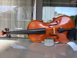 4/4 Geige / Violine