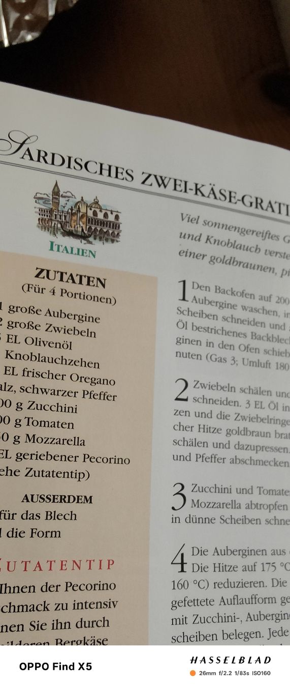 Libri: Aufläufe und Gratins – Usato da Volken venduto da katz5 1