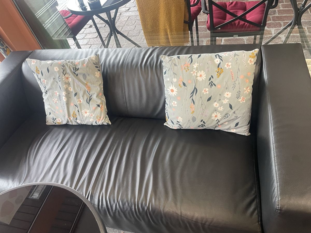Divani: Sofa – Usato da Steinen venduto da sar_t272 1