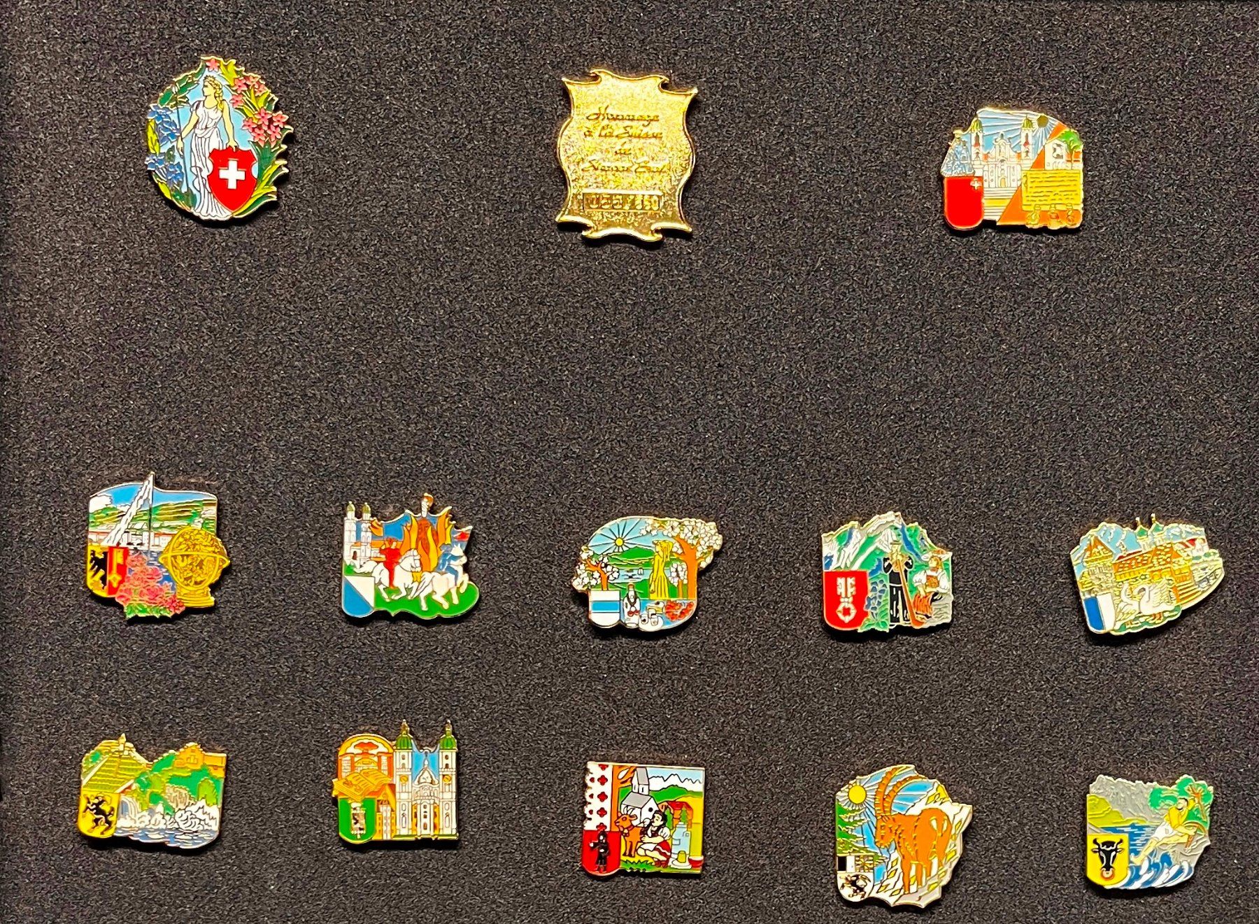 Swiss Placchette & Badge: Pin Simone Erni, Kantonswappen komplett. – Usato da Obernau venduto da Wgnom 1