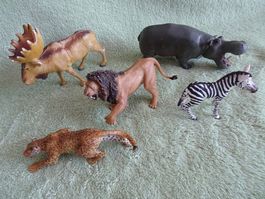 Wild-Tiere 5 teilig. Preis für alle