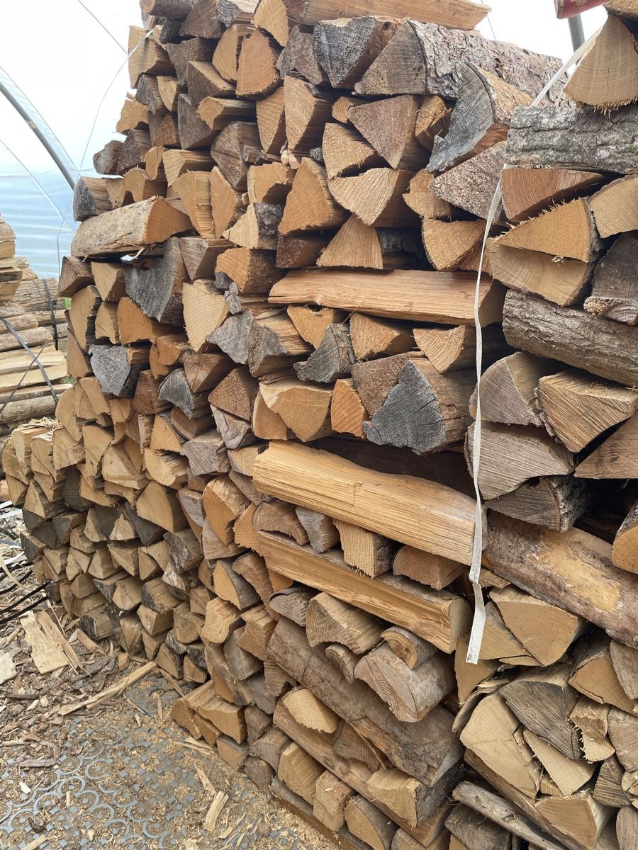 Articoli in legno: Brennholz Nadelholz.  – Nuovo (secondo la descrizione) da Egnach venduto da larssigner