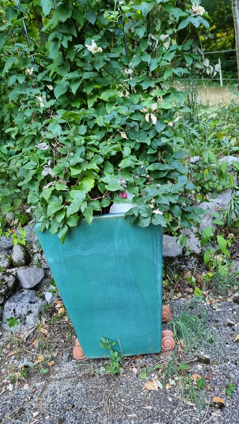 Blumentöpfe: Blumentopf Keramik grün – Gebraucht aus Twann von MW51 1