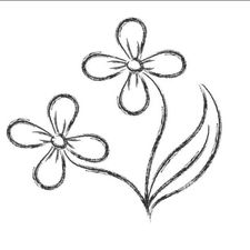 Profile image of Sofia33