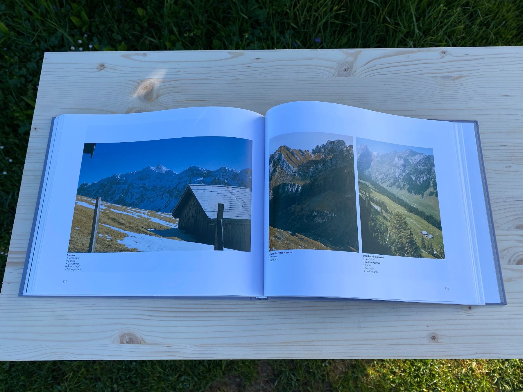 Campanacci mucche: Buch Plus Alpstein Minus – Usato da Feldbach venduto da Olive1 7