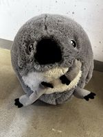 Kindersitzball 