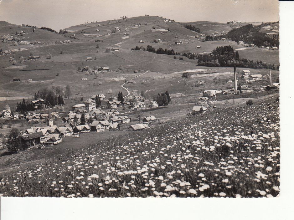 Cartoline postali: Schönengrund 1947 – Usato da Bürglen TG venduto da StampGraf