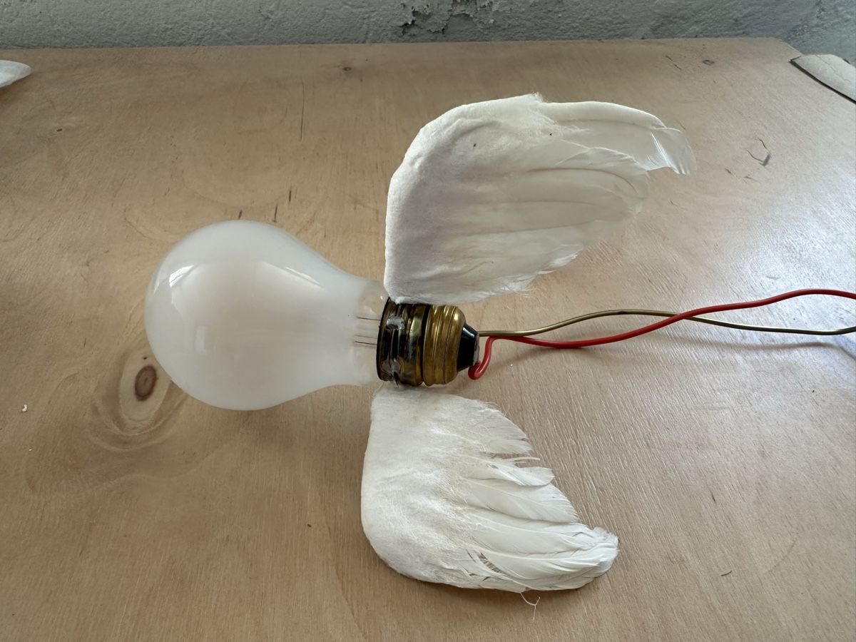 Lampade: Lucellino – Usato da Liebefeld venduto da tschudy02