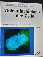 Buch molekularbiologie
