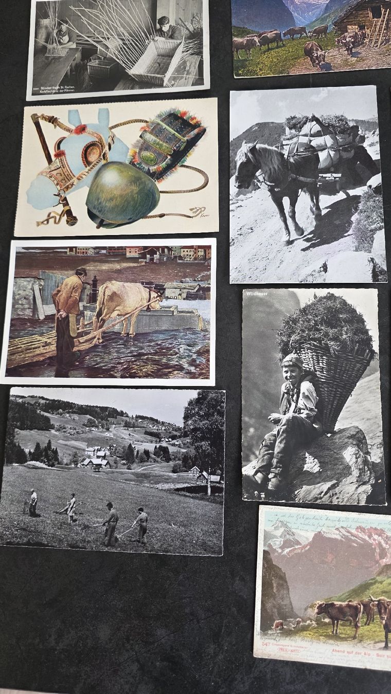 Cartoline postali: Lot AK Landwirtschaft Schweiz – Usato da Reichenburg venduto da ibiza18 2