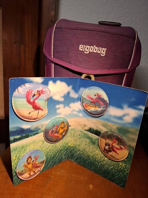 Borse & Zaini: Ergobag Schulthek – Usato da Wettingen venduto da Mixel01 1