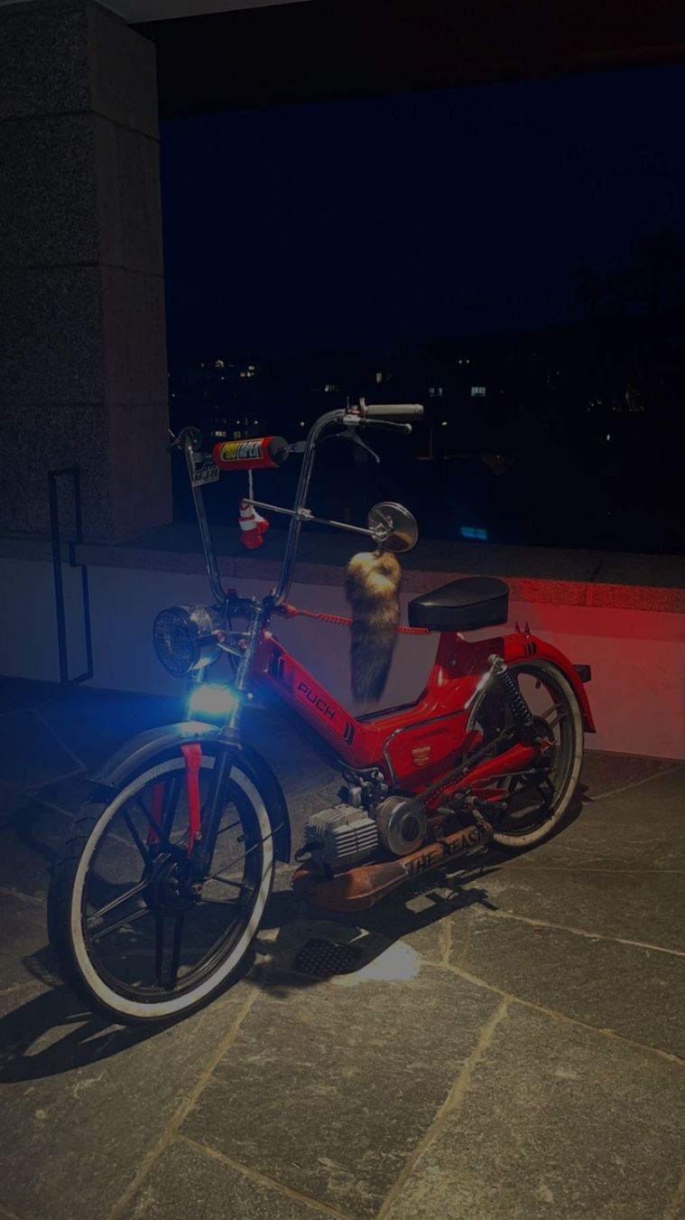 Puch Mofas: Puch Maxi S – Gebraucht aus Kirchberg SG von Schratte 2