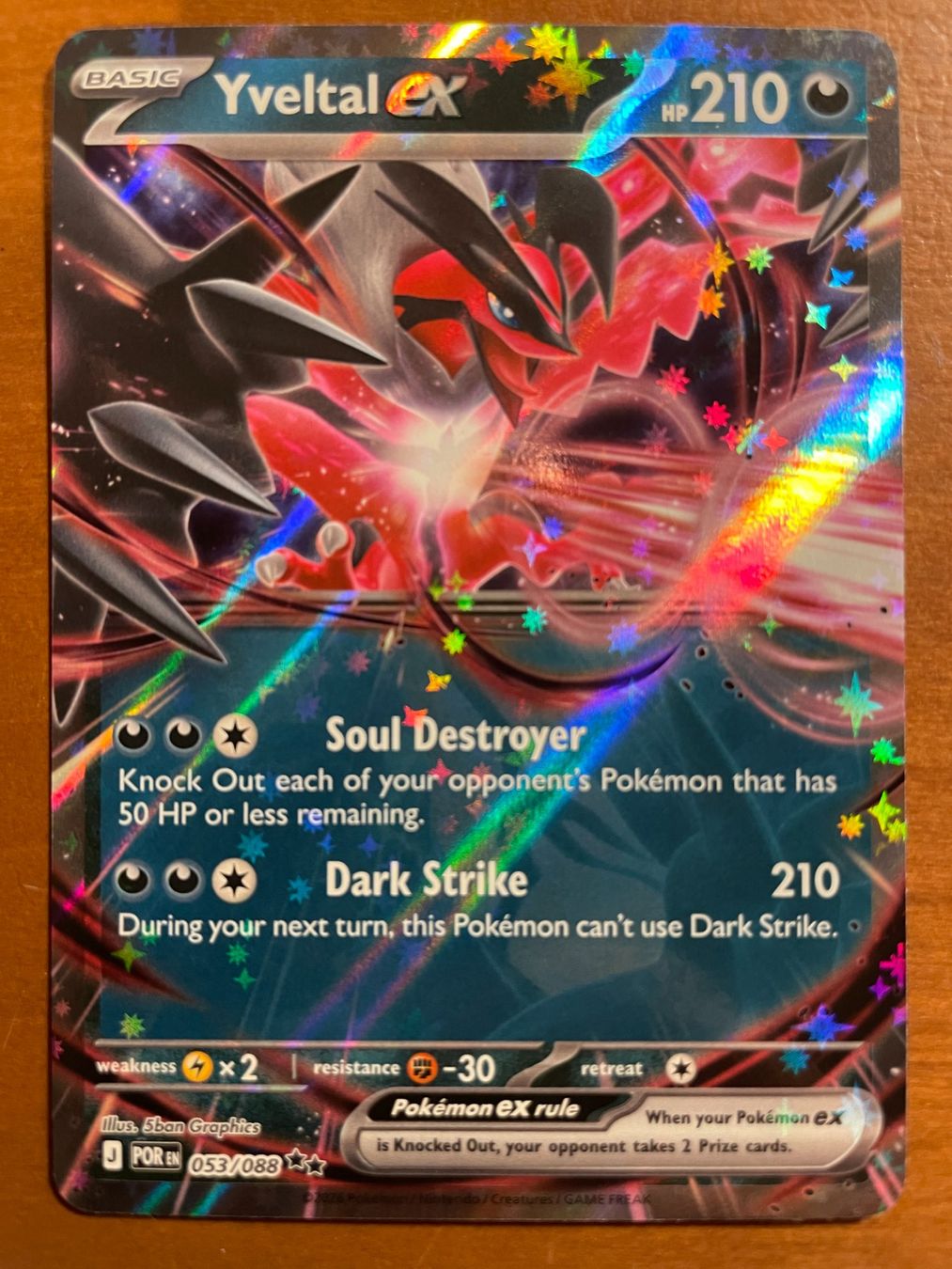 Pokémon Carte collezionabili: Pokemon Yveltal eX (Versand gratis) – Nuovo (secondo la descrizione) da Chur venduto da Angerson
