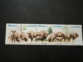 Polen  1981  Block  Büffel  **   (A963)