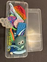 Fidget Spielzeug Set: Dino, Regenbogen, Dose, Kugel & mehr! 