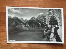 AK    ca.1950 Axenstrasse    (G1798)