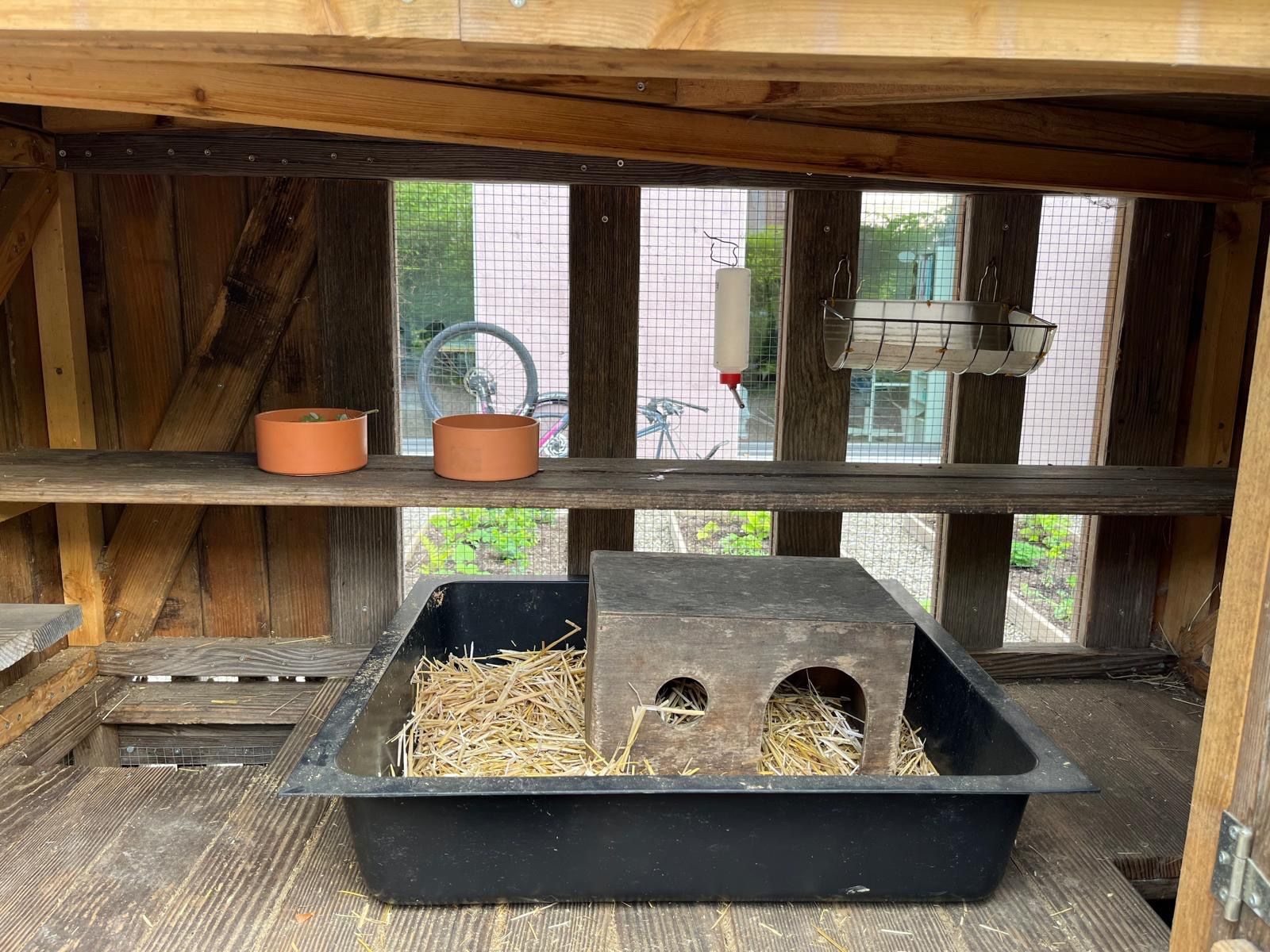 Cages, transport & sécurité: Kleintierstall Eigenbau / Kaninchenstall Outdoor – D'occasion à Bern par IrisBern 4