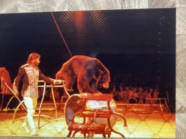 Circus Knie Foto 1991
